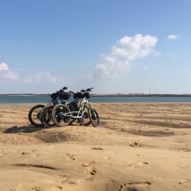 cropped-img_28131.jpg